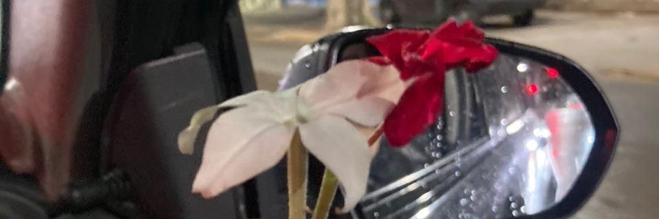 yeguamodon's profile banner image