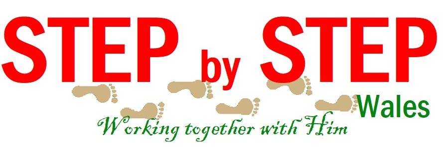 StepbyStepWales's profile banner image