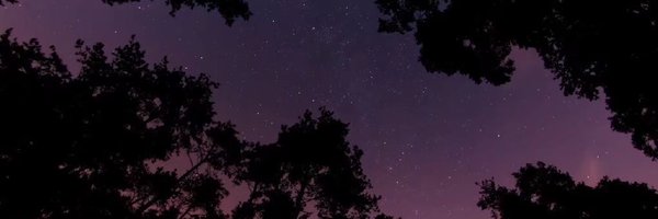 errslance Profile Banner