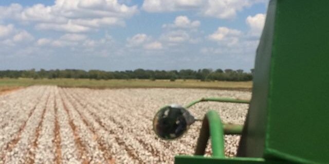 ASAP_Rosssy's profile banner image