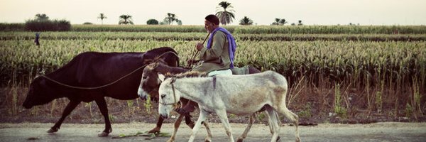 shaikal Profile Banner