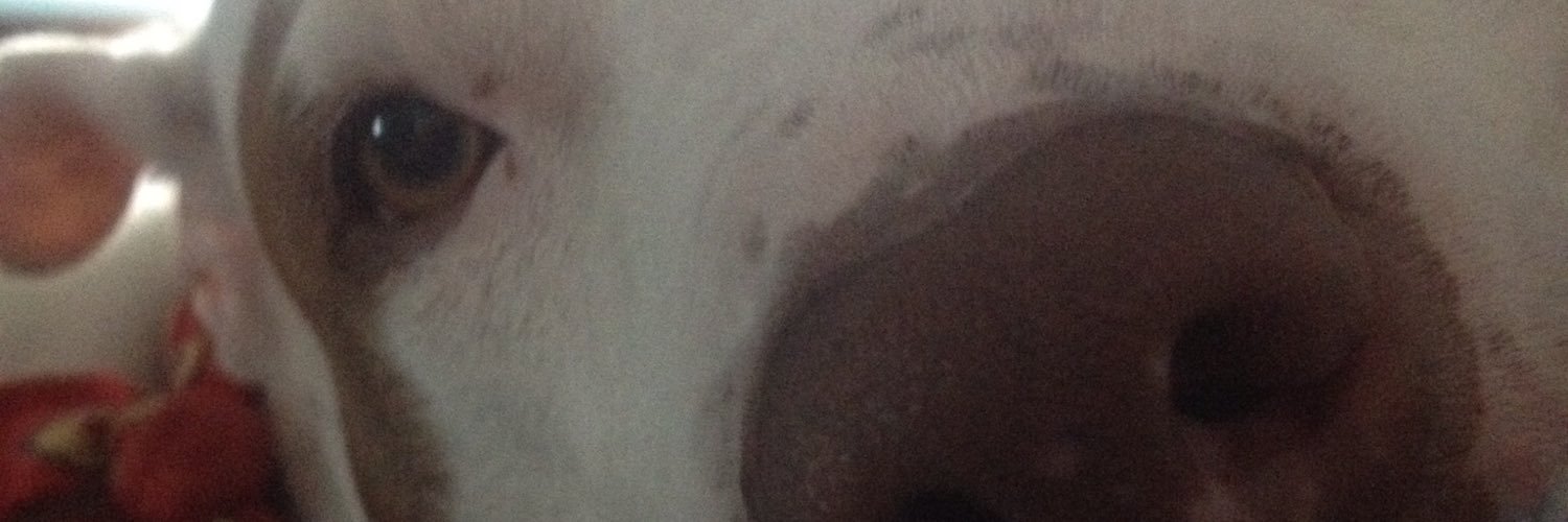 Toribia_RI's profile banner image