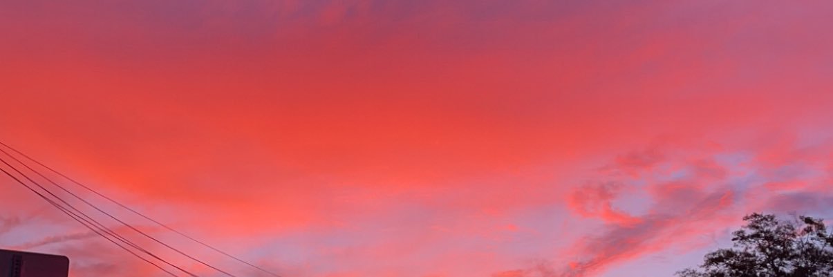 emberlyho's profile banner image