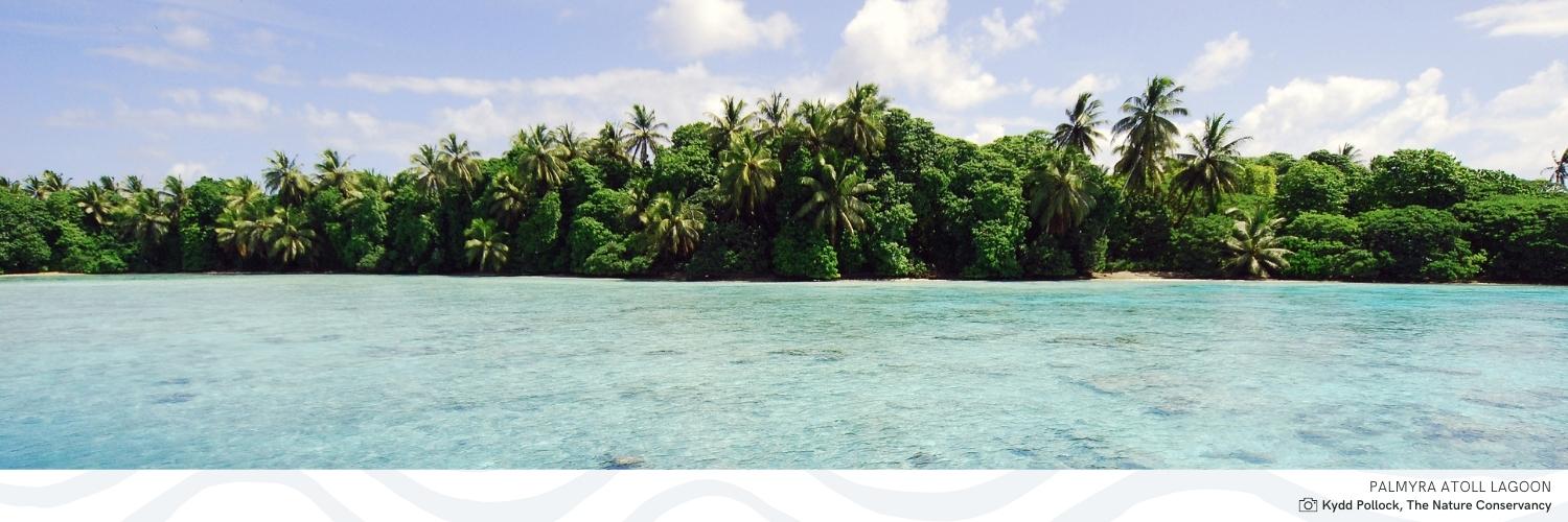 Pacific Islands Heritage Coalition banner