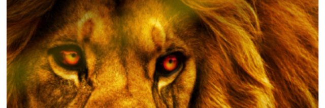 KingLion_Ent's profile banner image