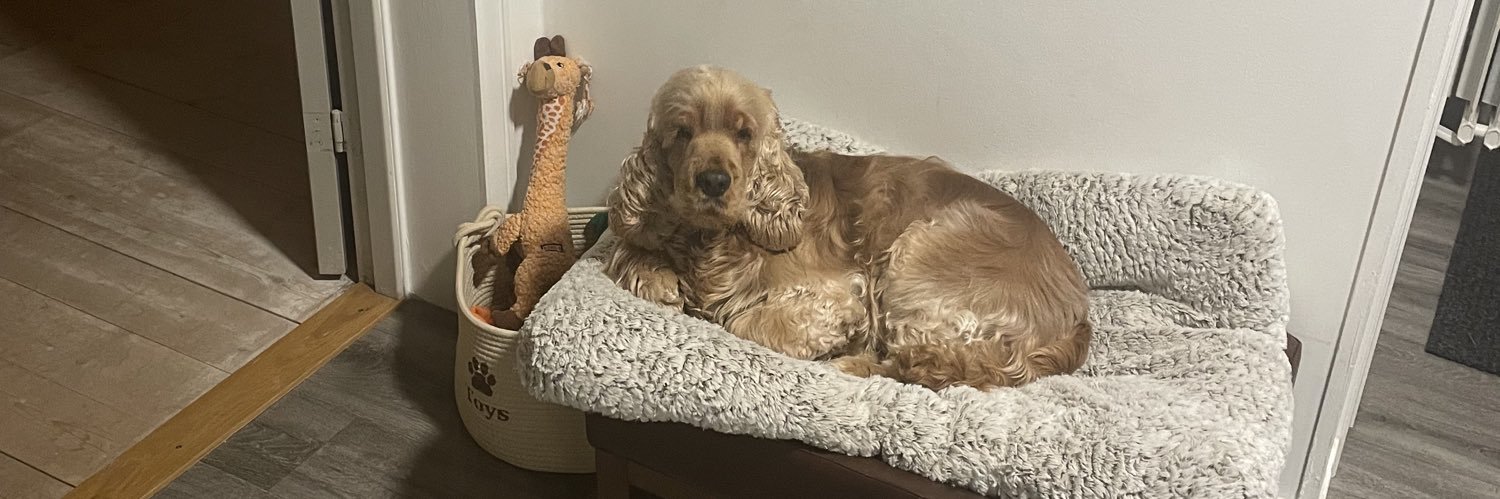 Jesper ”Greven” Wikberg banner