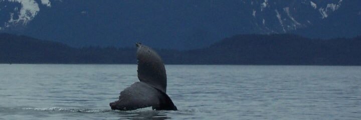 daveheitzmann's profile banner image
