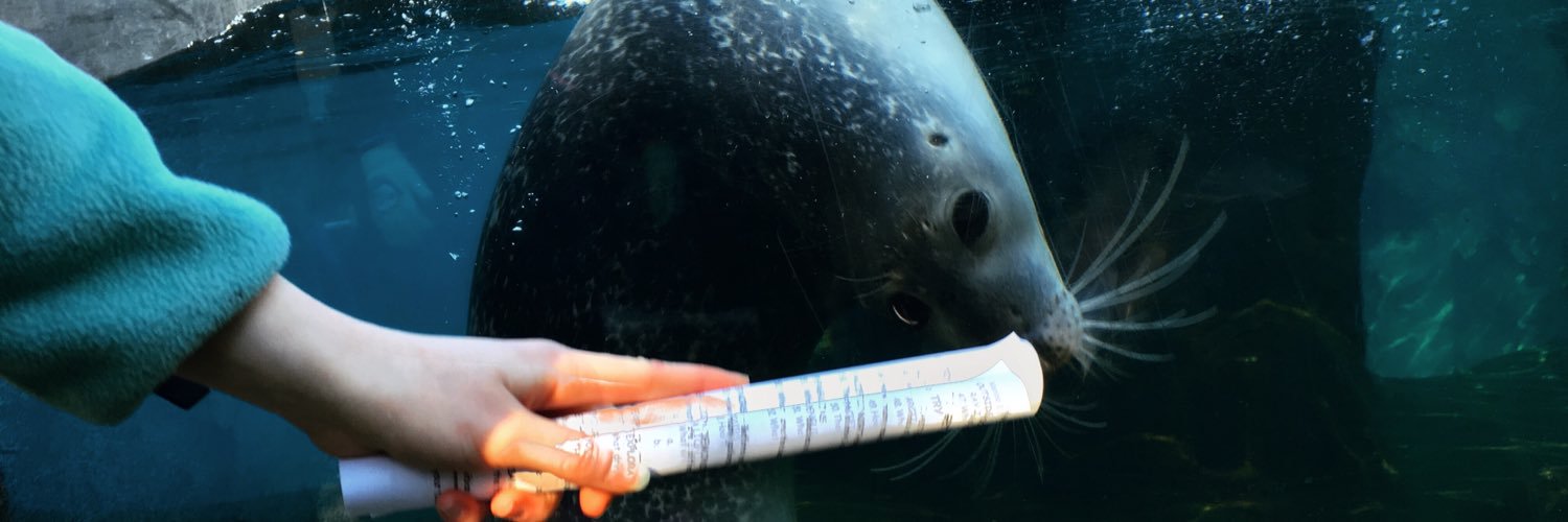 allfishswim's profile banner image