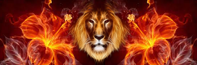Eryxilium's profile banner image