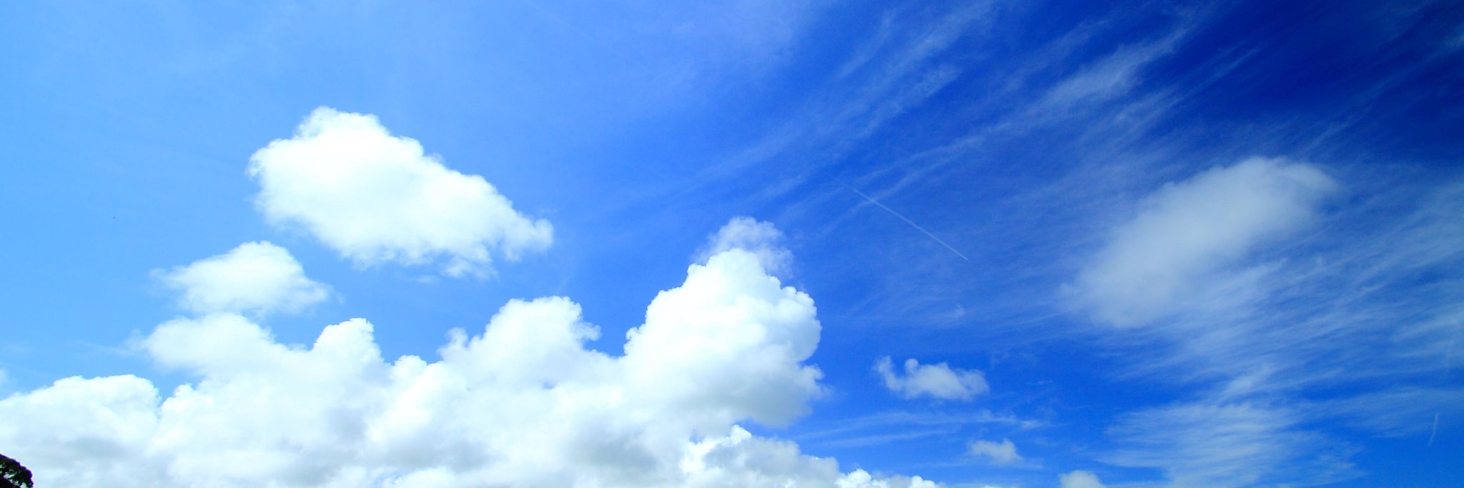 nobelse's profile banner image