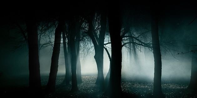findparanormal's profile banner image