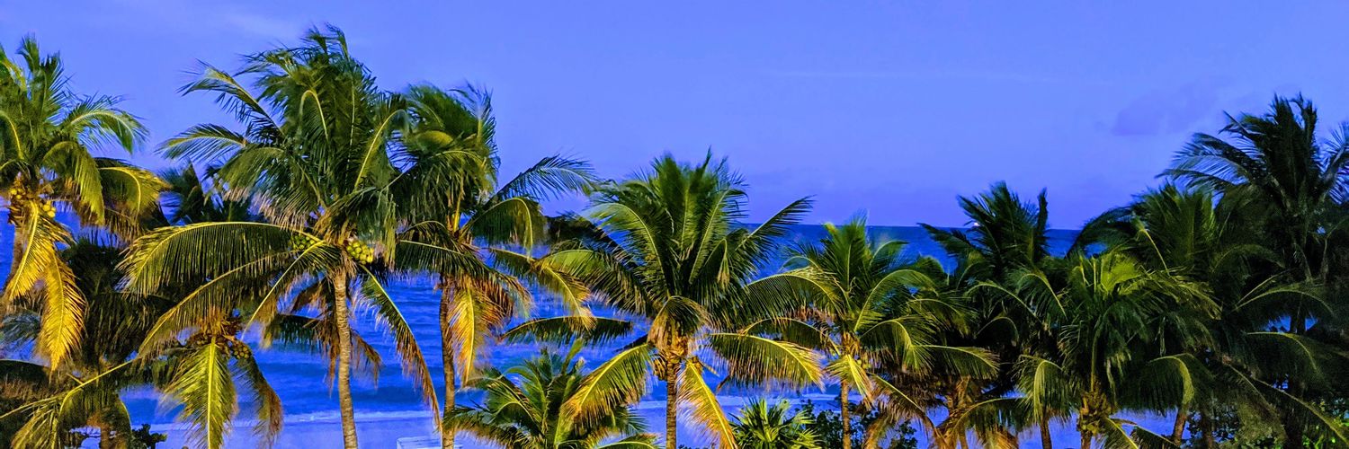 Jackie Lopez banner