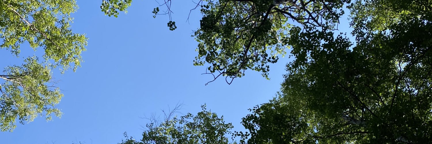 jacobrblum's profile banner image