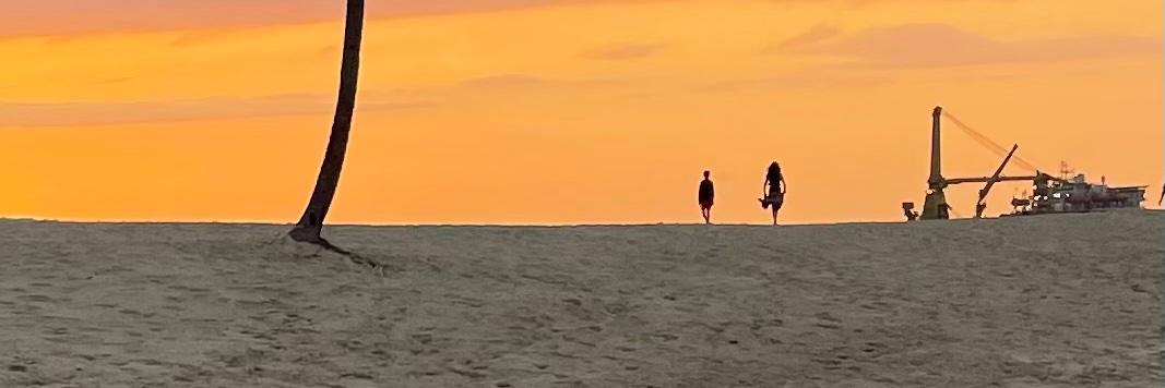 gab banner