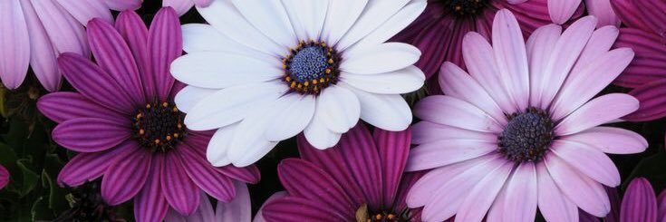 agusbreque's profile banner image