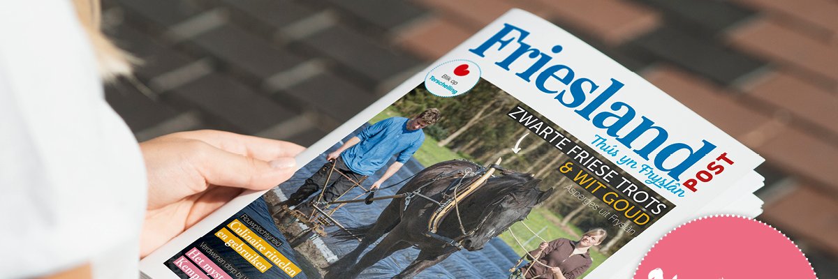 Friesland Post banner