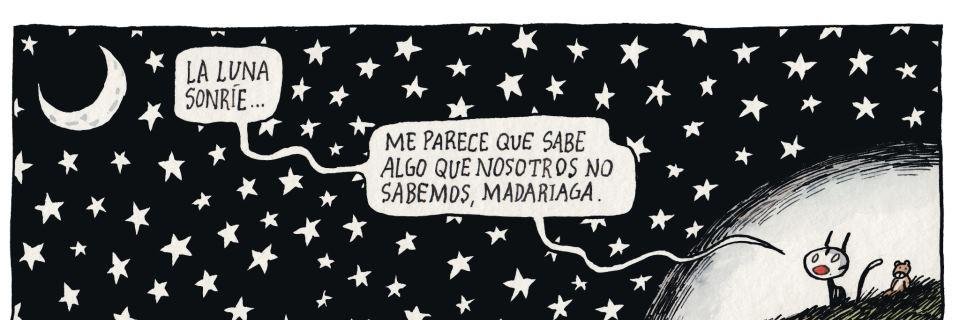 magdidavila's profile banner image