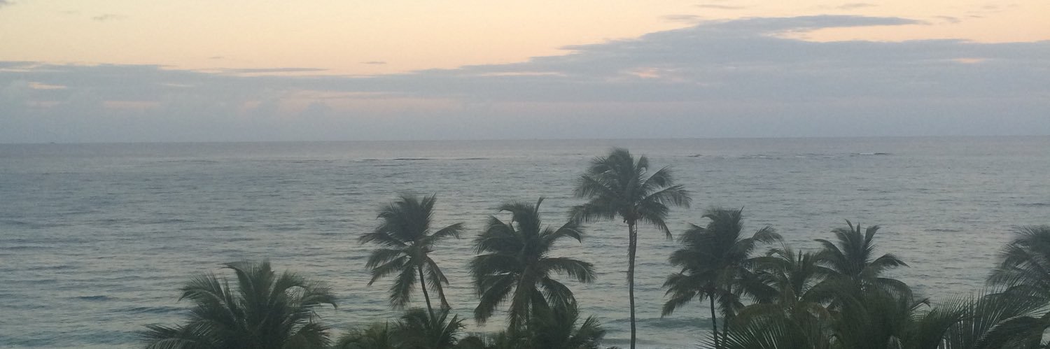 Lauren 🇵🇷 banner