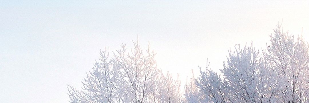 DanielaReiche's profile banner image