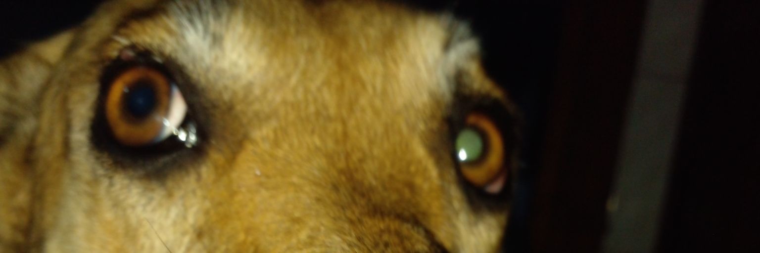 Sebam88's profile banner image