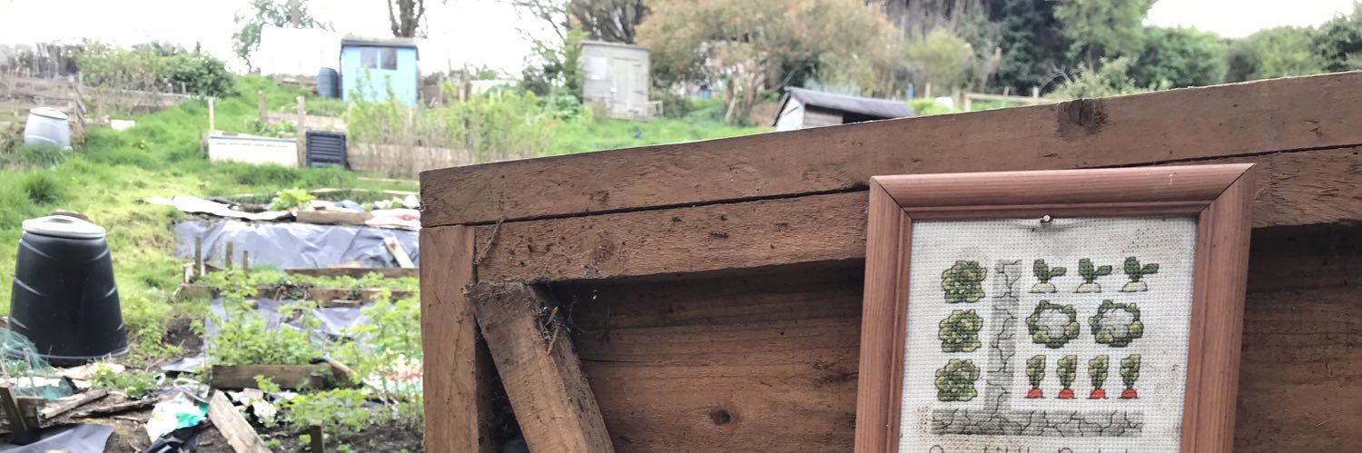 Hannah Bellis banner