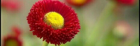 Karlenag68's profile banner image