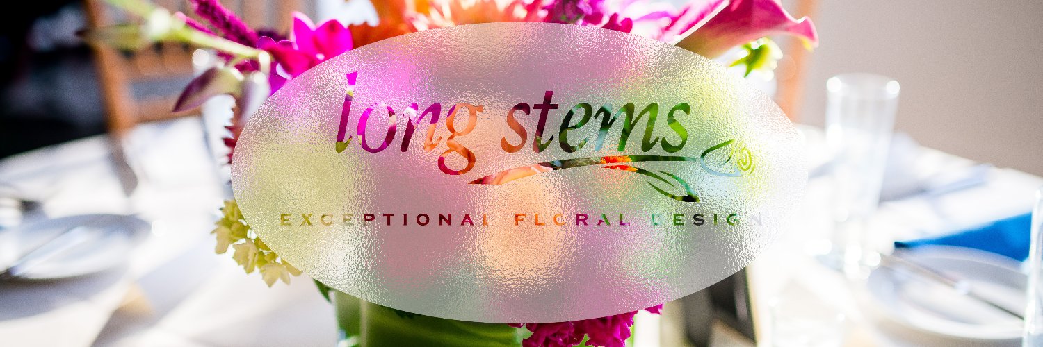 long_stems's profile banner image