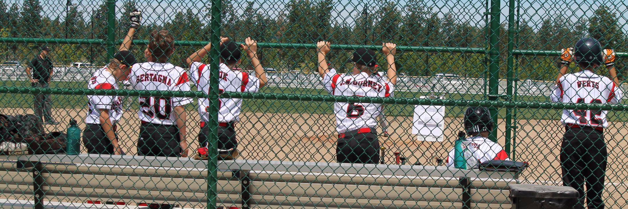 NW Nations Baseball banner