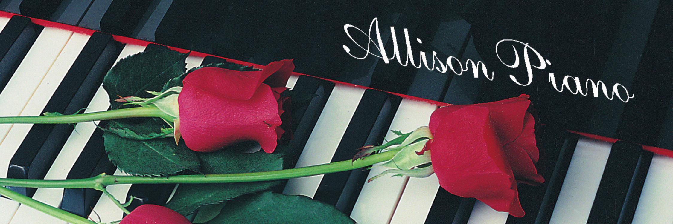 Allison__Piano's profile banner image