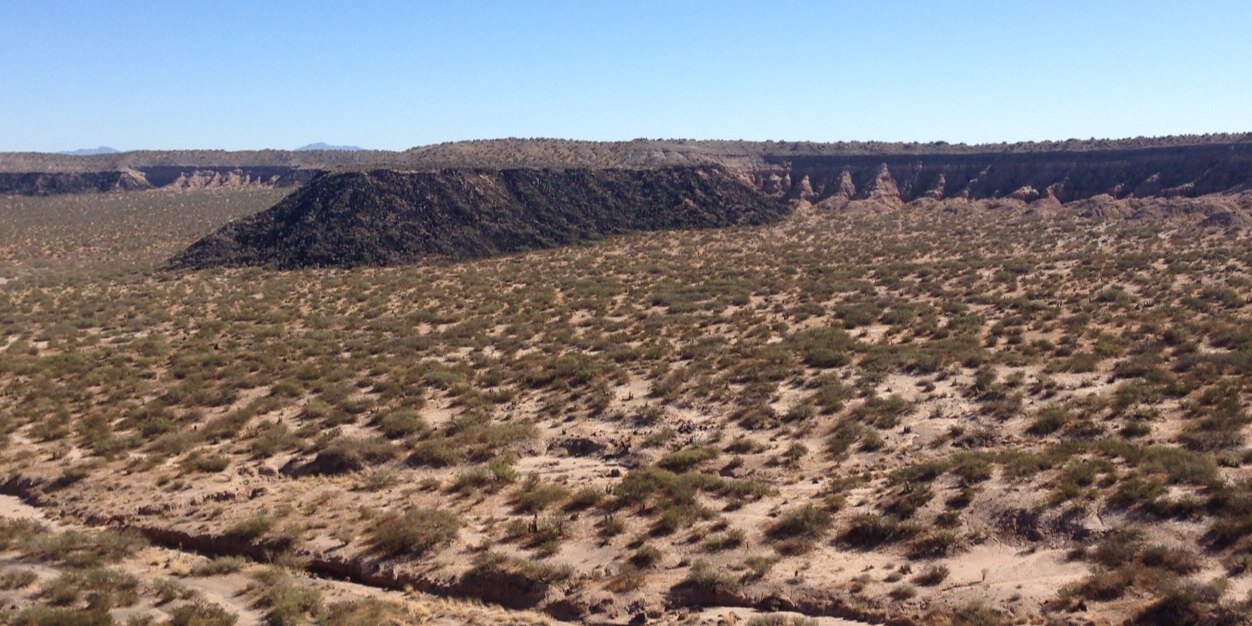 Patsy C. Montiel banner