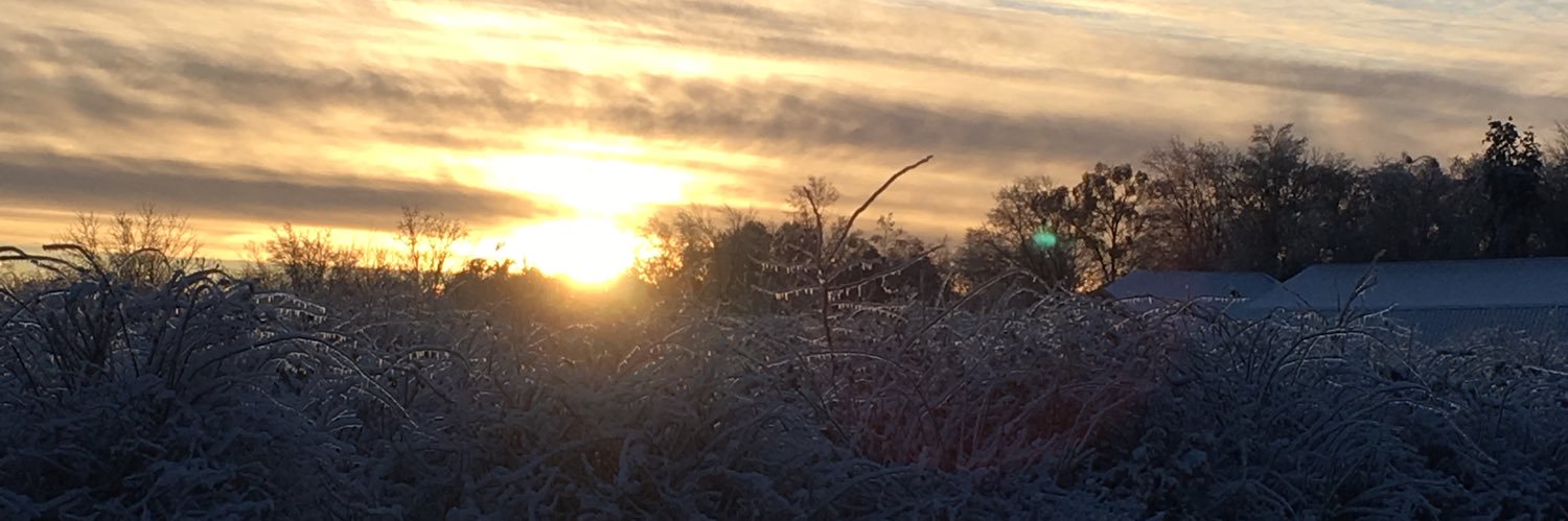 kellyskydive's profile banner image