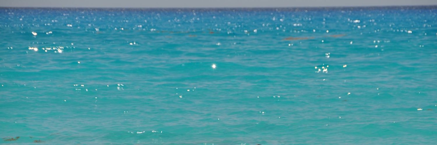 heathersmithlim's profile banner image