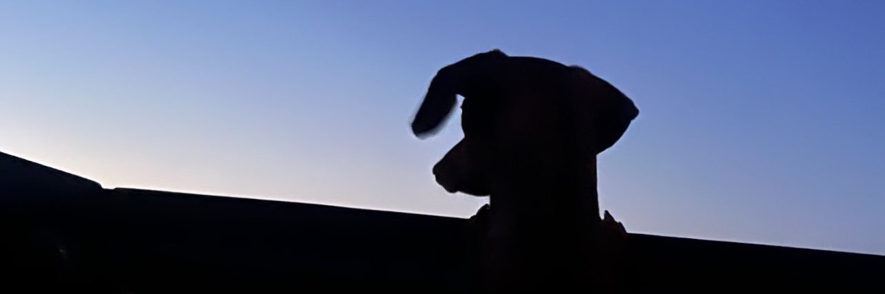 leahbusta's profile banner image