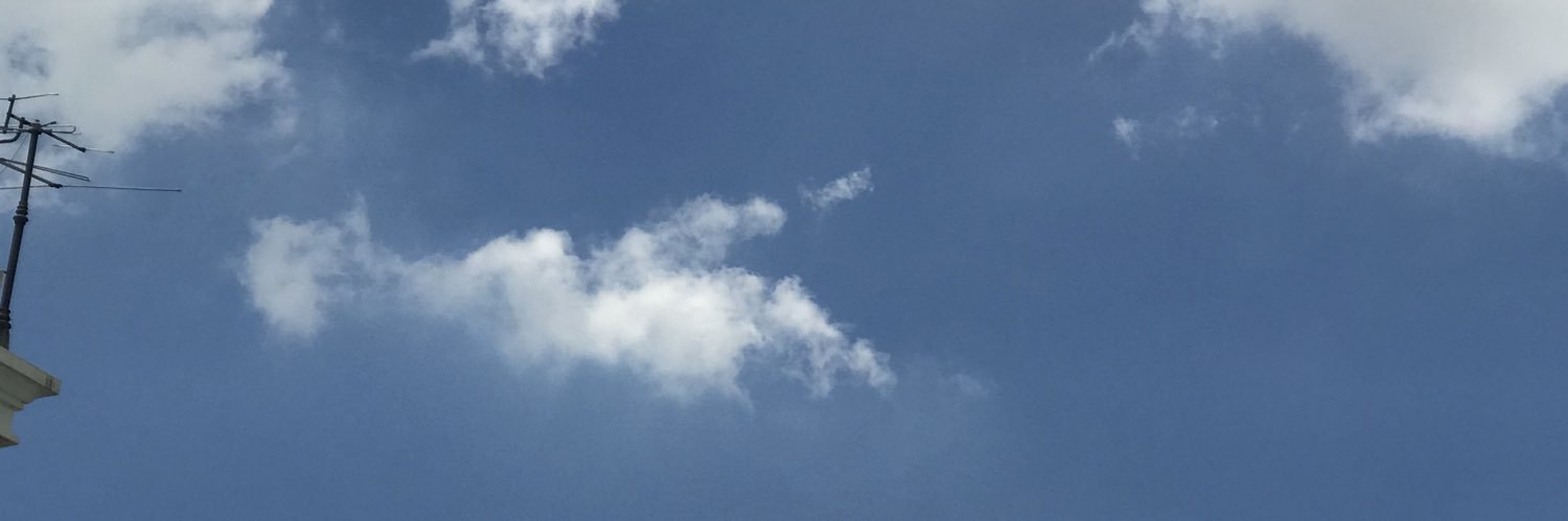 buulowr's profile banner image