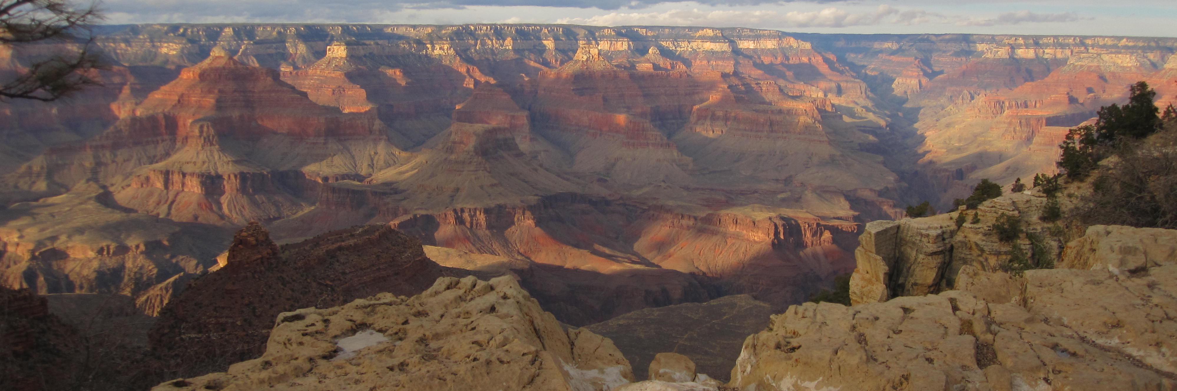 Beth Cunningham banner