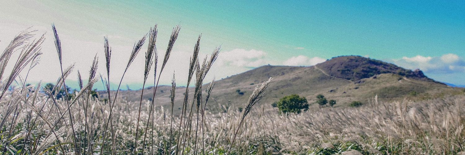 sausanzhr's profile banner image