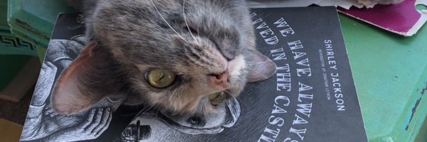 auntaminal Profile Banner