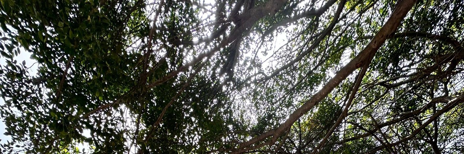 manoliteu's profile banner image