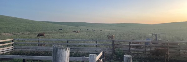 akfillipi402 Profile Banner