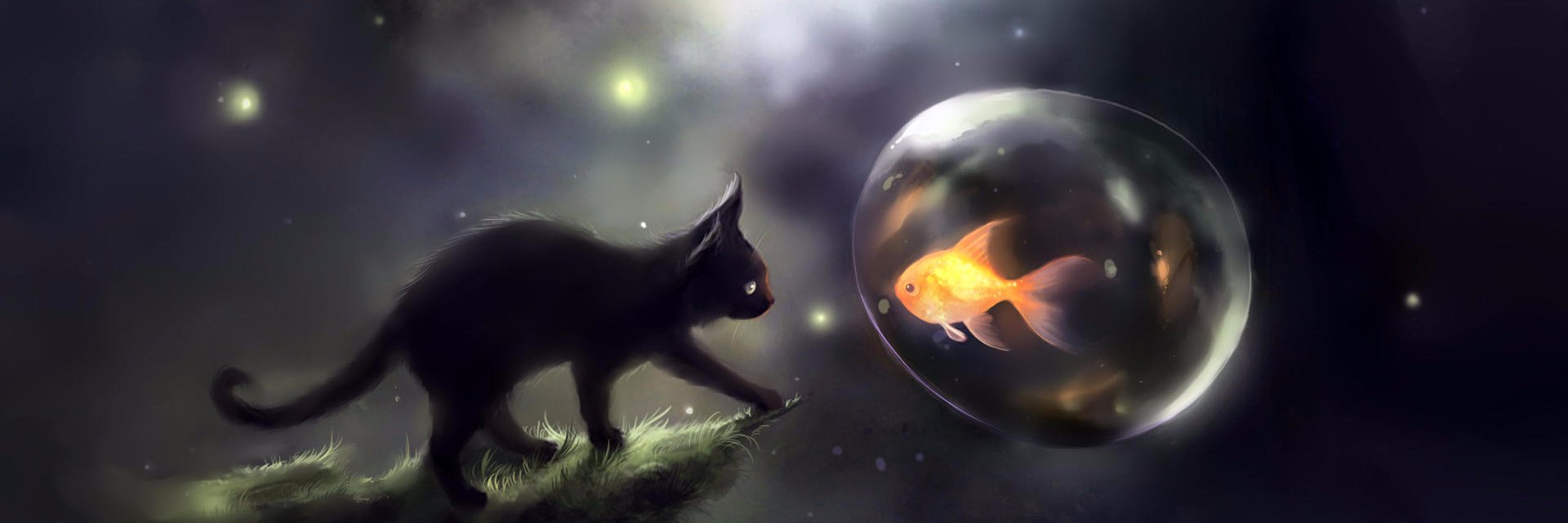 MiracleDebris's profile banner image