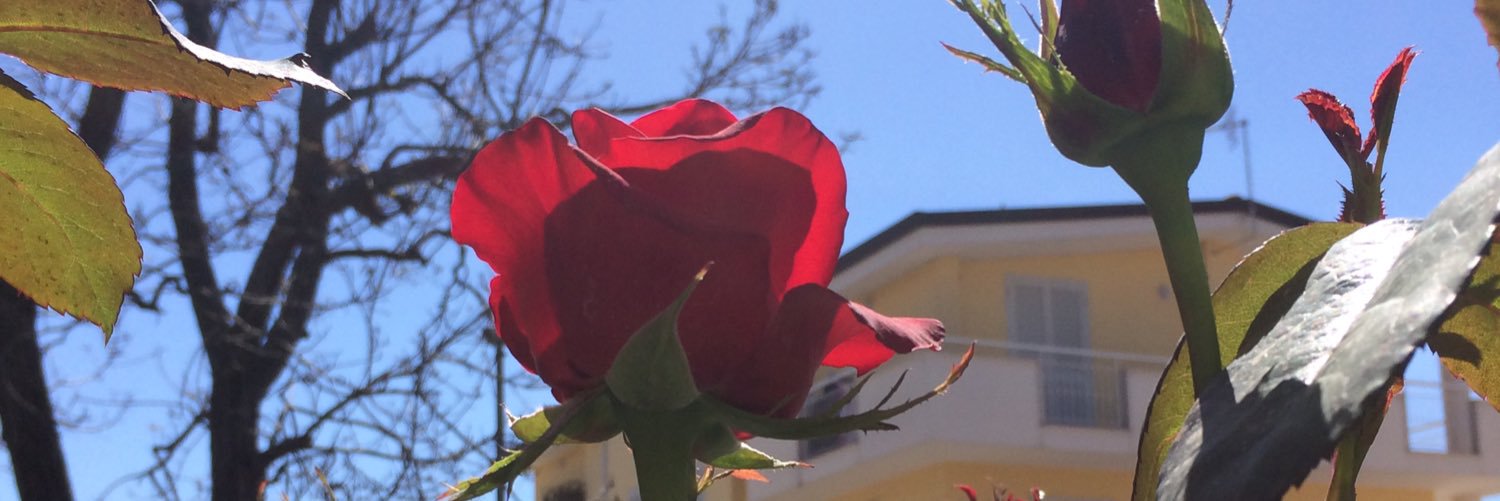 f_fabozzi's profile banner image
