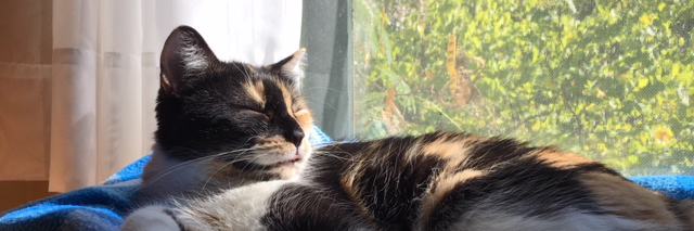 MyLittleMissCleo banner