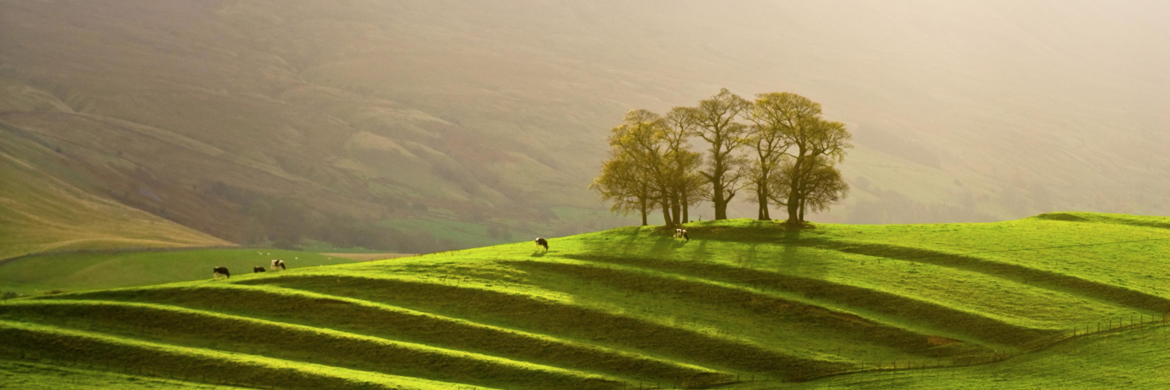 FarmandFell's profile banner image