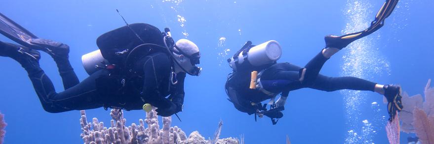 TriCityScuba's profile banner image