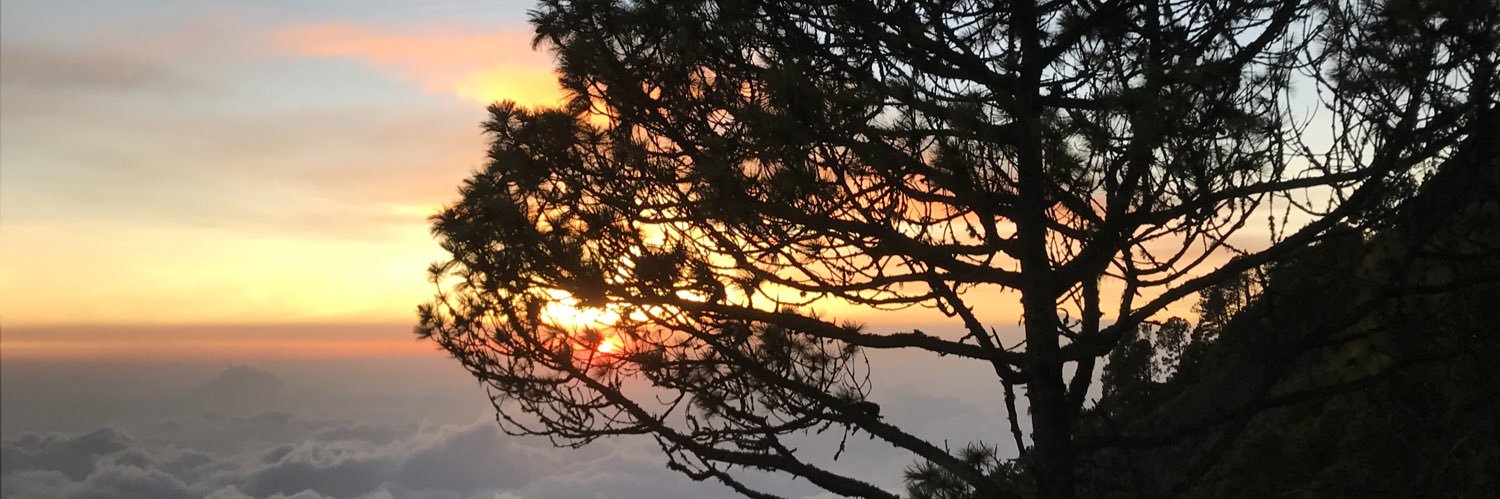 danieu_7's profile banner image