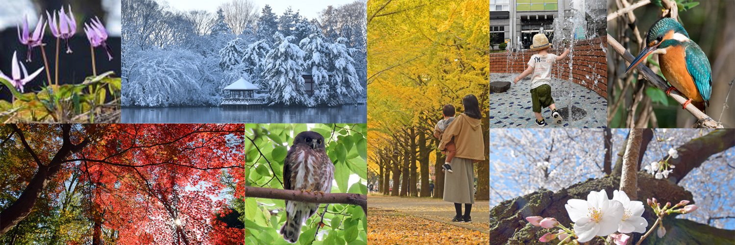 東京都練馬区 banner
