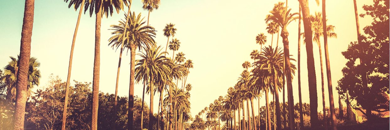 MadiGentry4's profile banner image