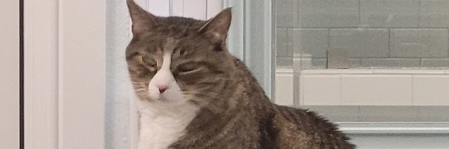 deriandabomb's profile banner image