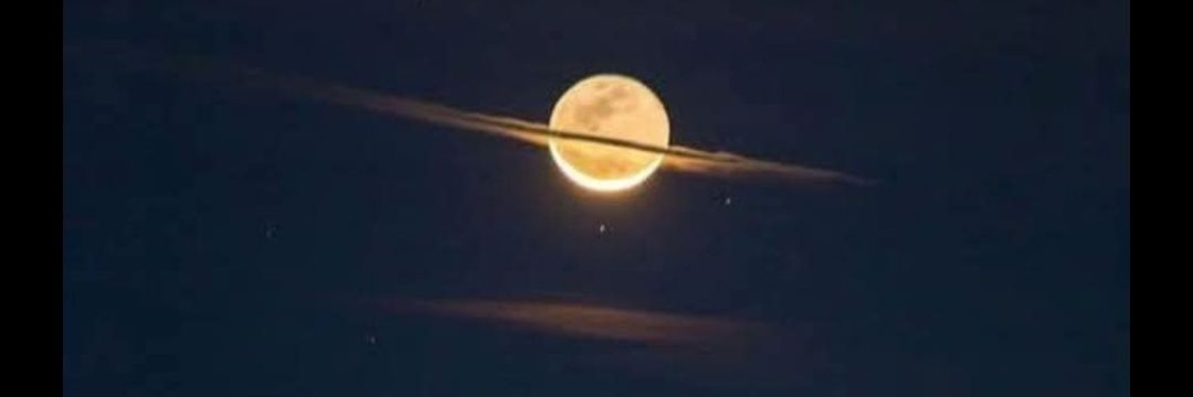 phoenixraynes banner