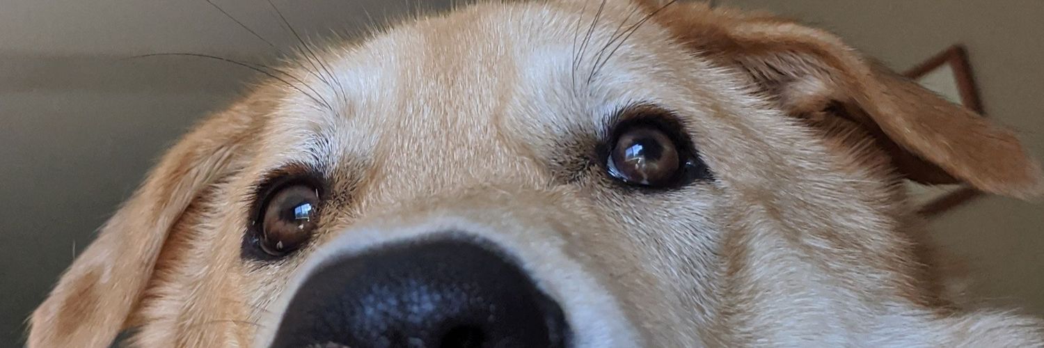 TheDukeofDiesel's profile banner image